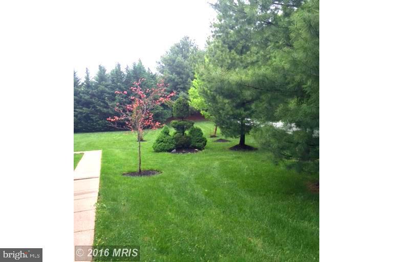Primary Photo - 12815 Tern Dr