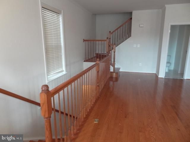 Building Photo - 4613 Hummingbird Ln