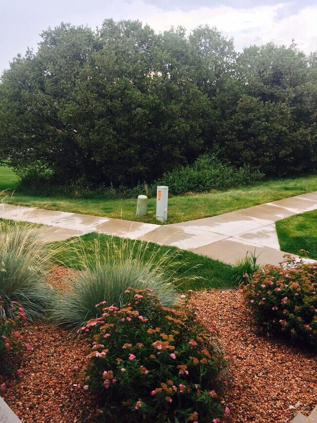 Front of unit walkway - 4163 Diamond Ridge Vw