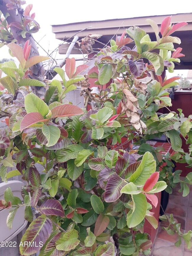 Foto del edificio - 16850 31st Ave