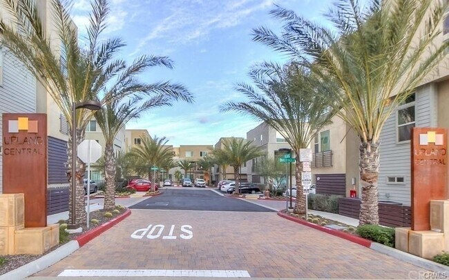 Foto del edificio - 630 Chandler Walk