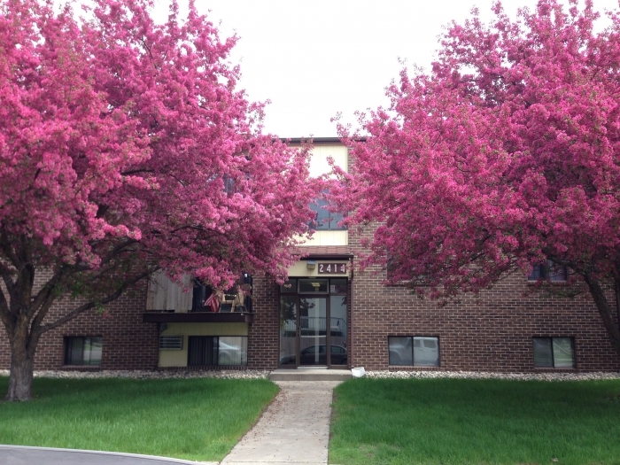 Primary Photo - Foxdale Apartments
