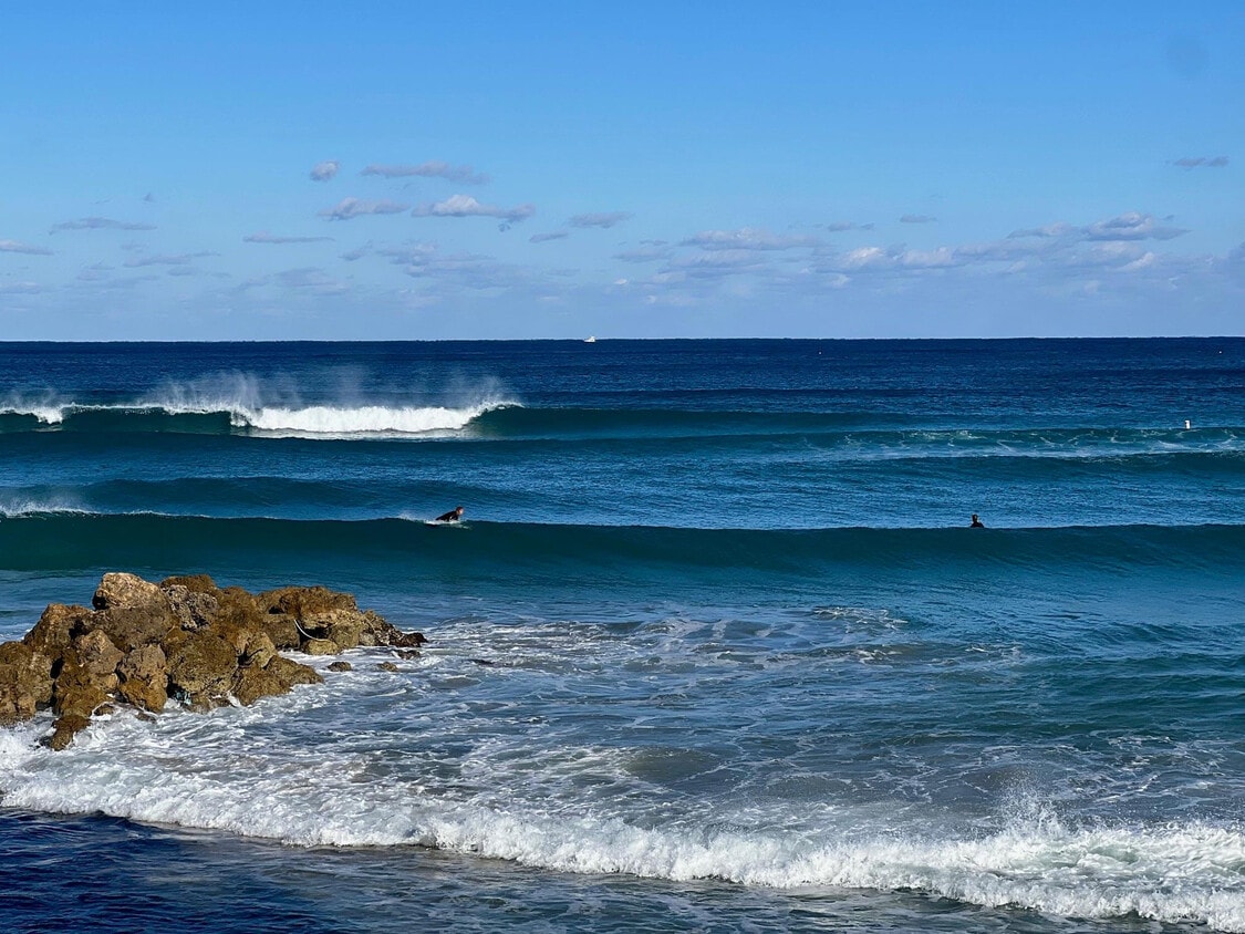 Building Photo - 1239 Hillsboro Mile