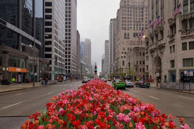 Building Photo - 535 N Michigan Ave