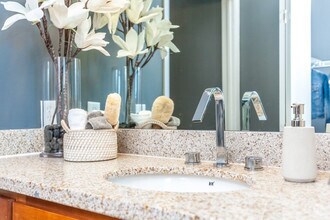The Modern Miami Rentals - Miami, FL | Apartments.com The Modern Miami Rentals - Miami, FL | Apartments.com