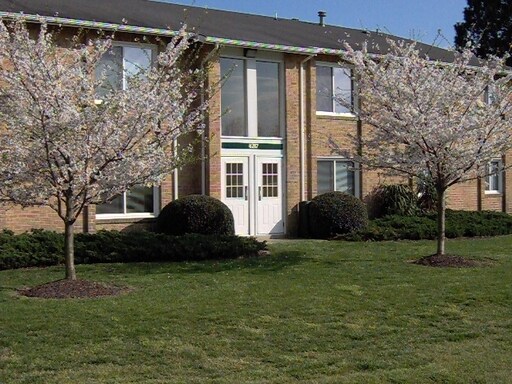 Primary Photo - 4201 Cedar Ln