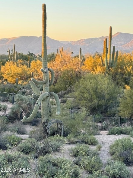 Foto del edificio - 36601 Mule Train Rd