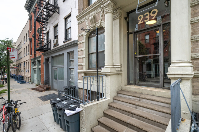 Building Photo - 239 W 20th St