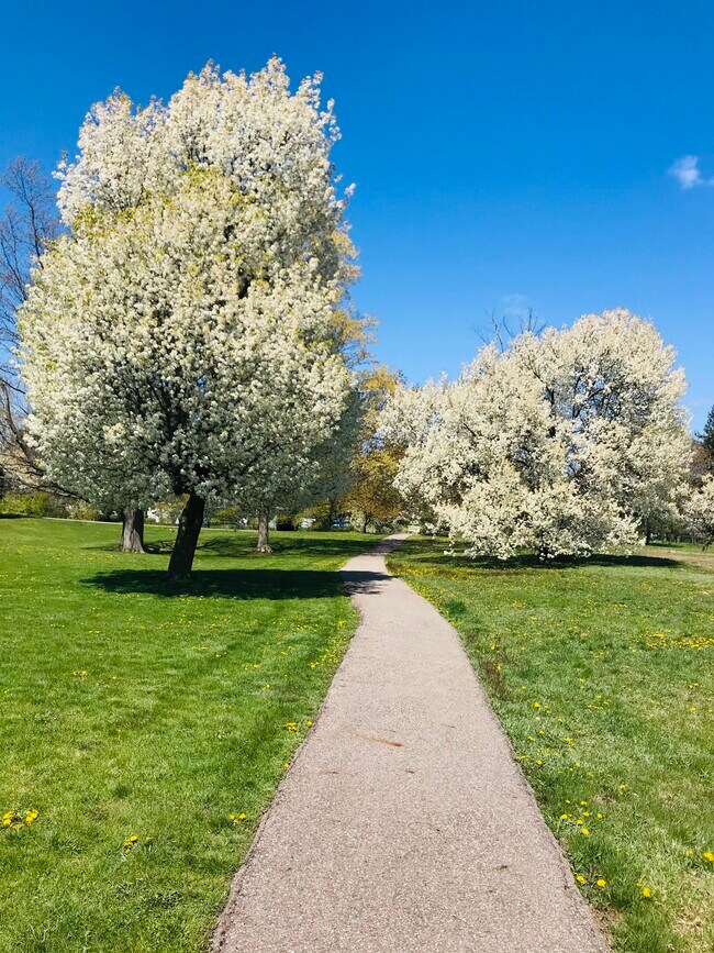 Resident Walking Path - 900 W Territorial Rd