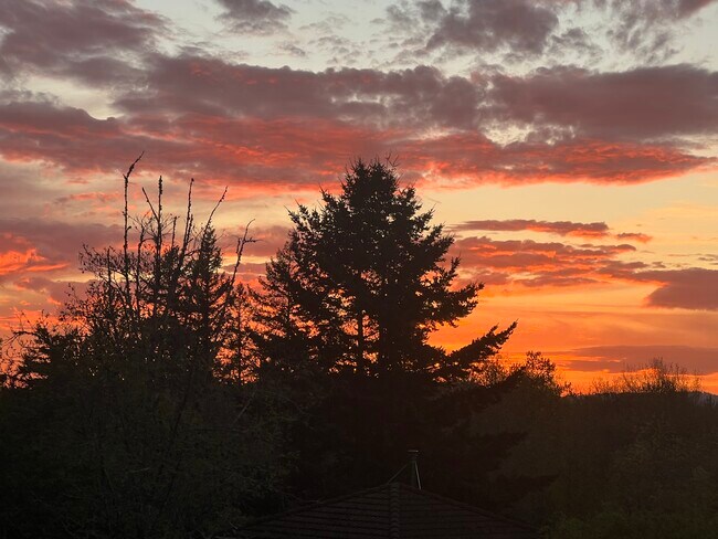 Primer plano de la puesta de sol desde la terraza. - 6924 SE 108th Ave