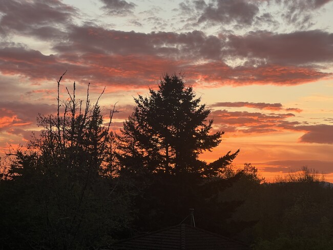 Sunset close up from deck - 6924 SE 108th Ave
