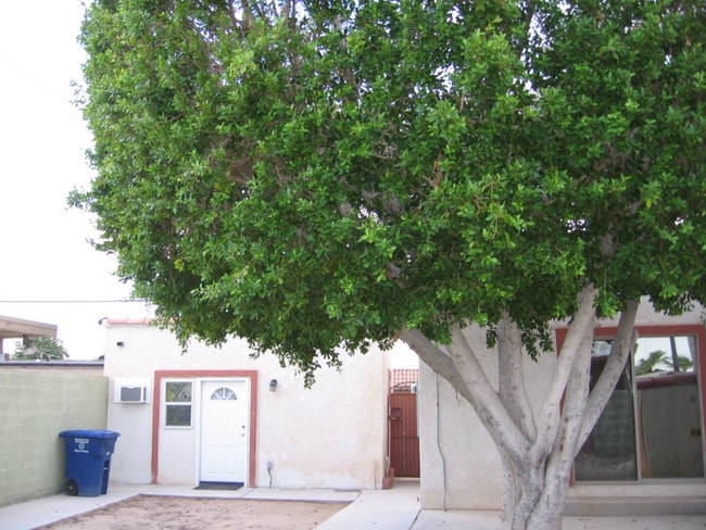 Building Photo - 805 S 7th Ave