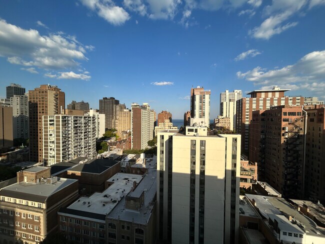 Foto del edificio - 1350 N Dearborn St