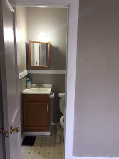 Bathroom off the bedroom - 226 East Bridge Street