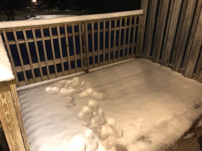 terraza trasera fuera de la cocina - 99 Shirley Cir