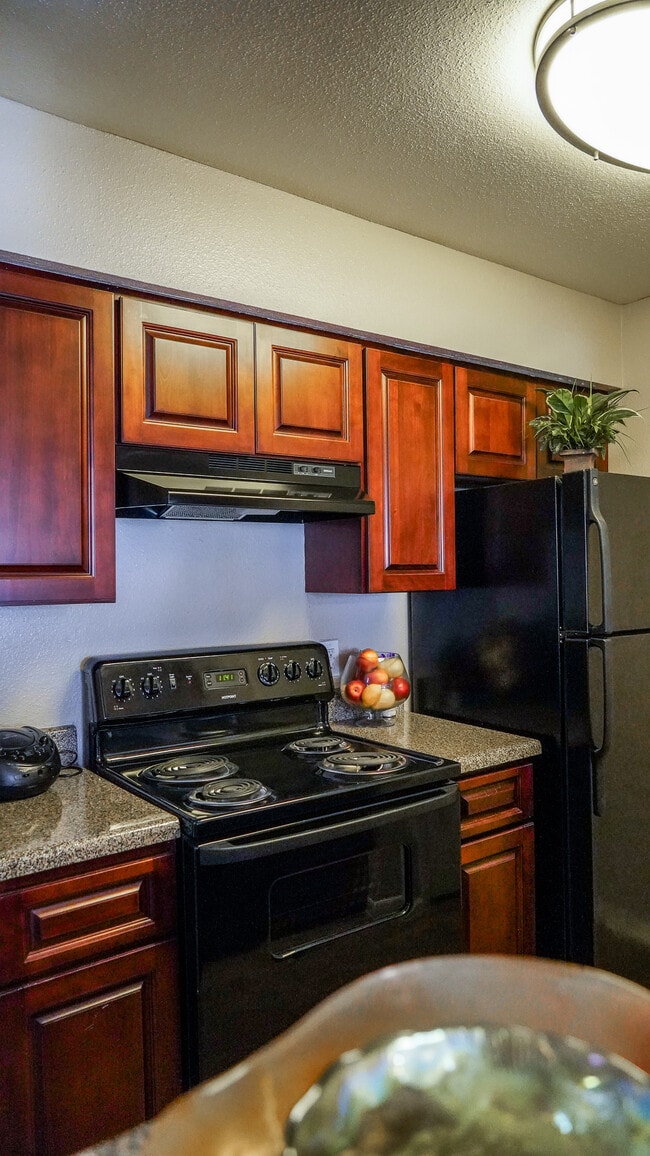 Building Photo - Palms on Westheimer Apartments