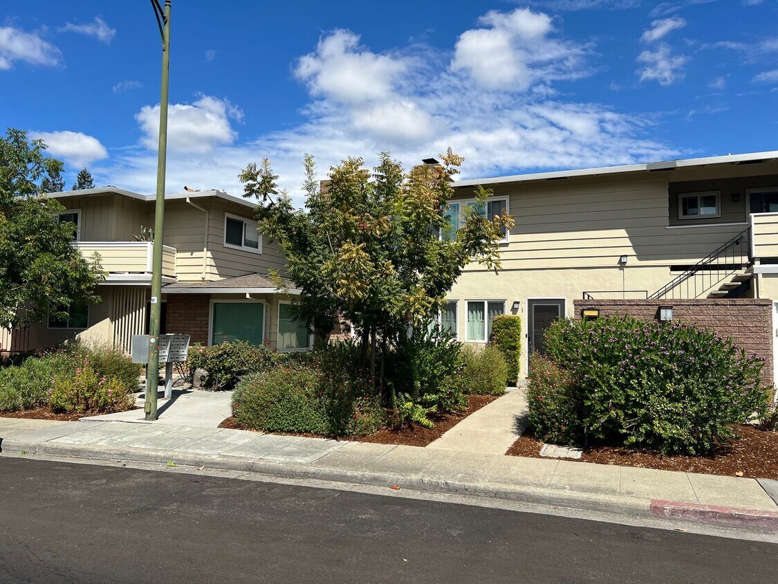 Primary Photo - Upgraded 2 bed 1 bath Condo in Mountain View.