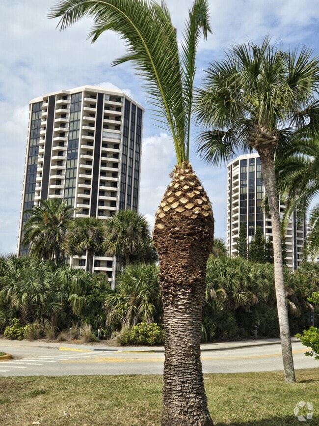 Building Photo - 1 Oceans West Blvd