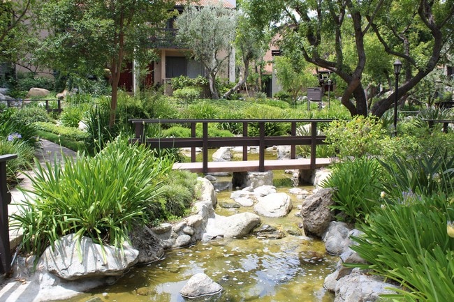 Gorgeous grounds - 21820 Marylee St