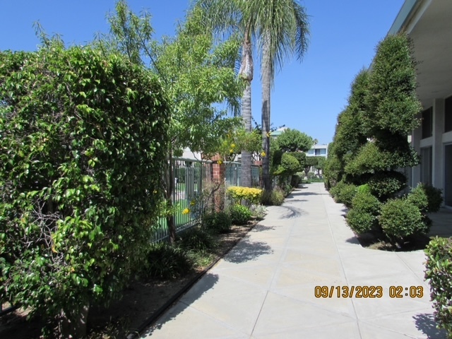 Building Photo - 5301 Balboa Blvd