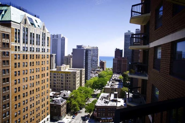 Foto del edificio - 1133 N Dearborn St