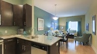 This thoughtfully designed single-floor space showcases an open-concept layout that connects the kitchen, dining, and living areas into one cohesive and inviting environment. The kitchen is anchored by rich dark cabinetry paired with light granite countertops, a stainless steel sink, and a built-in dishwasher. A pendant light hangs above the kitchen island, adding a warm focal point to the space. The kitchen flows effortlessly into the dining area, where a glass-top dining table and dark wood chairs create an elegant yet comfortable setting. The living area beyond is bright and welcoming, benefiting from natural light streaming through a large window dressed with patterned teal curtains. A cohesive color palette ties the entire space together, featuring sage and teal accent walls that complement the warm hardwood flooring running throughout. Tasteful décor, including framed artwork, decorative vases, and coordinated soft furnishings, adds character and a polished aesthetic. The open layout promotes a sense of spaciousness, making the space feel both functional and visually expansive — ideal for everyday living and entertaining alike.