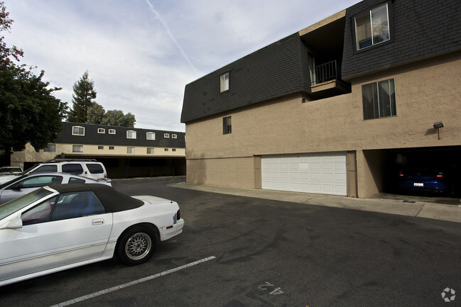 Building Photo - The Terrace Apartments