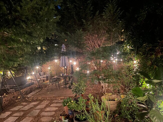 The garden at night. - 391 8th St