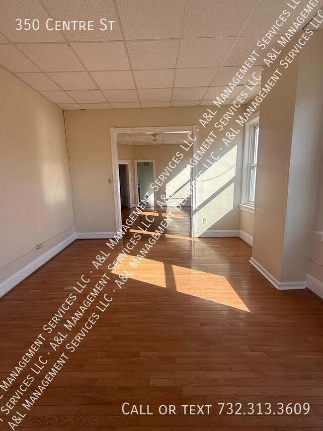 Foto del edificio - 350 Centre St