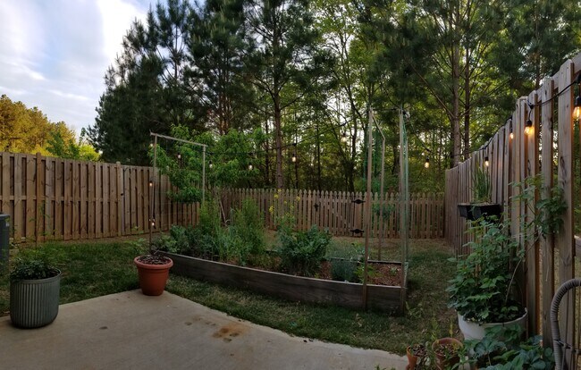 Backyard - 2095 Wheylon Dr