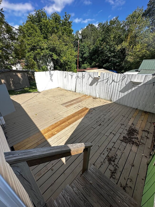 Building Photo - Black Mountain Rental