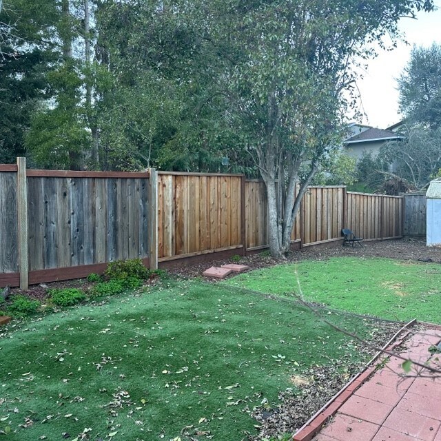 Yard - 39 Montgomery St
