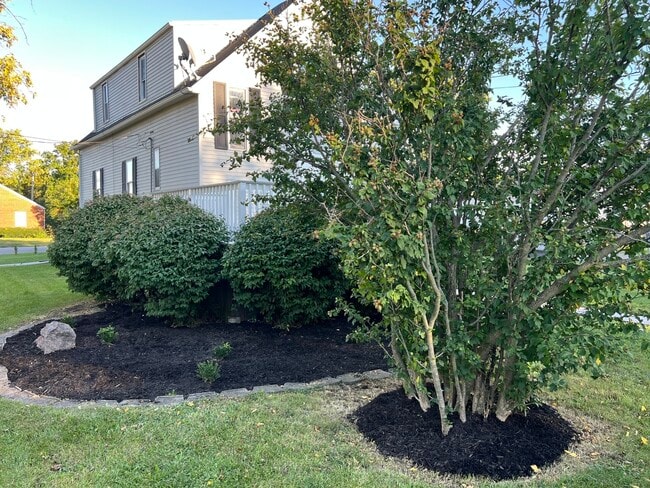 Foto del edificio - 3002 Green St