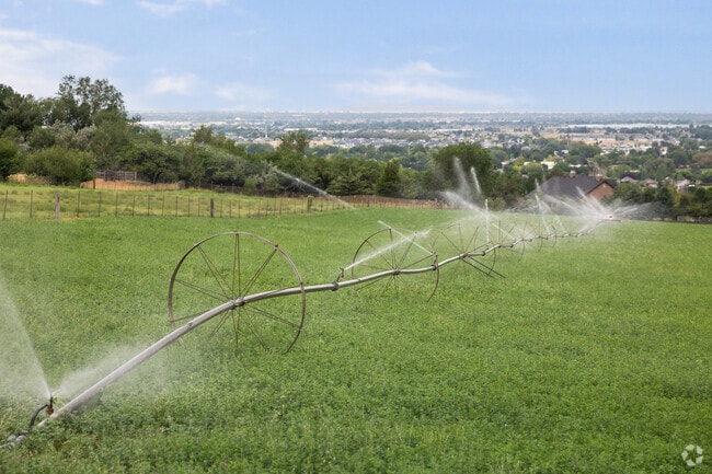 A traditional irrigation system in a green field overlooking the city.
