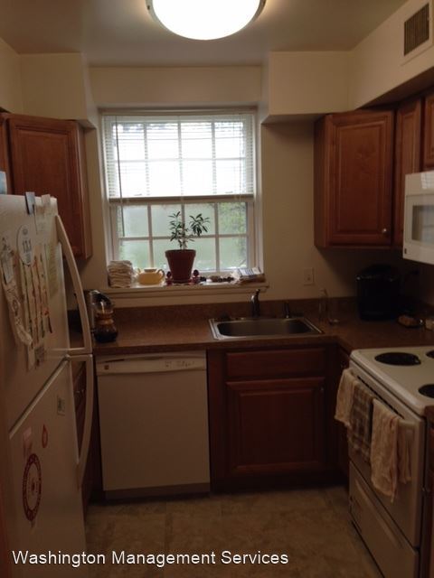 Building Photo - 1 br, 1 bath House - 3861 Newark St. NW Ap...