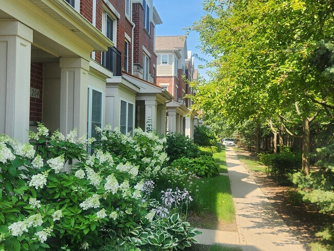 Building Photo - 208 W Hyde St