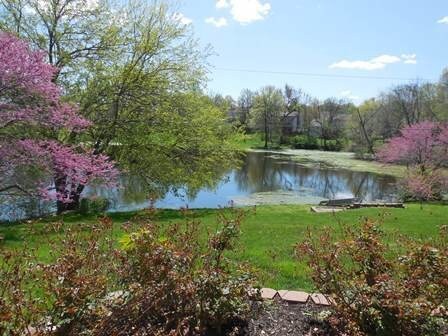 Building Photo - Beautiful Home in Liberty School District