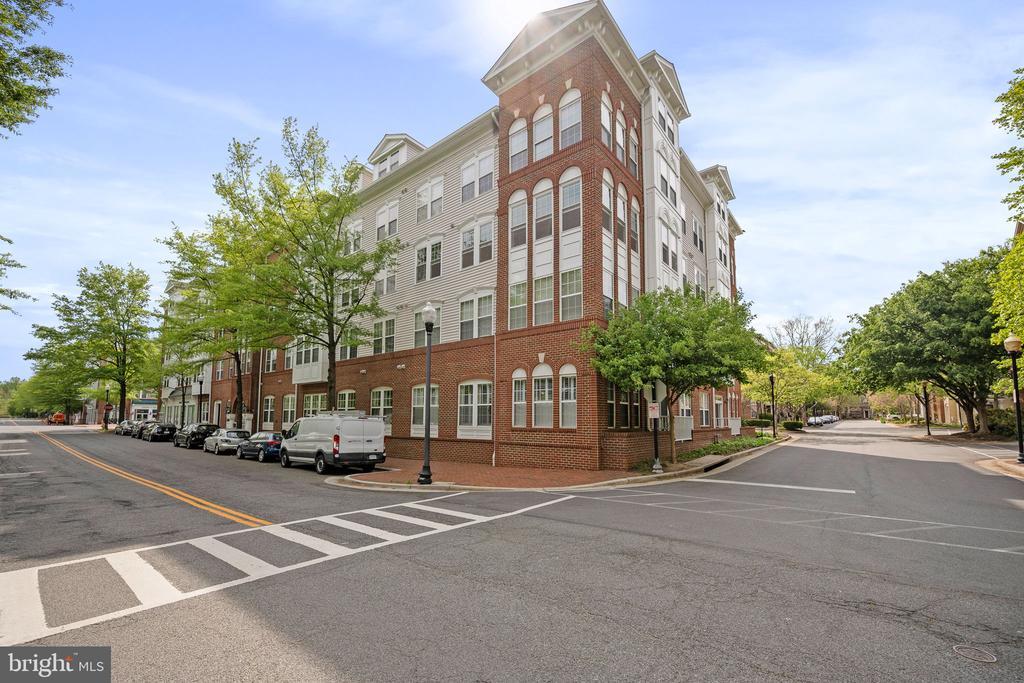 Primary Photo - 171 Somervelle St