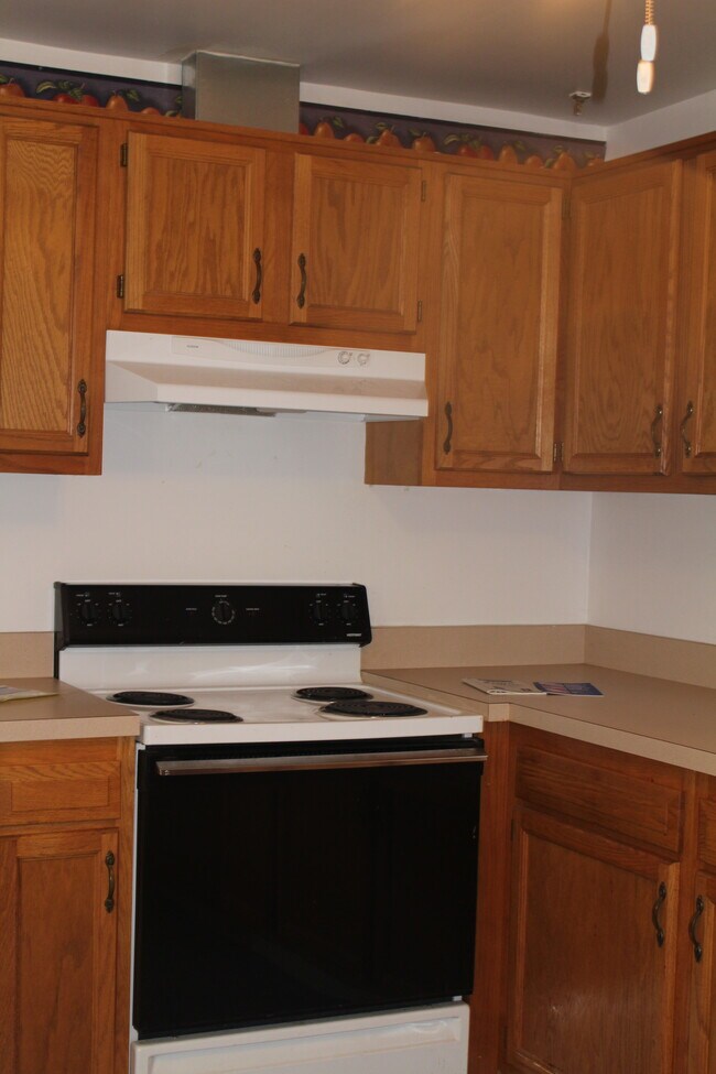 stove and cabinets - 513 Concord Ave