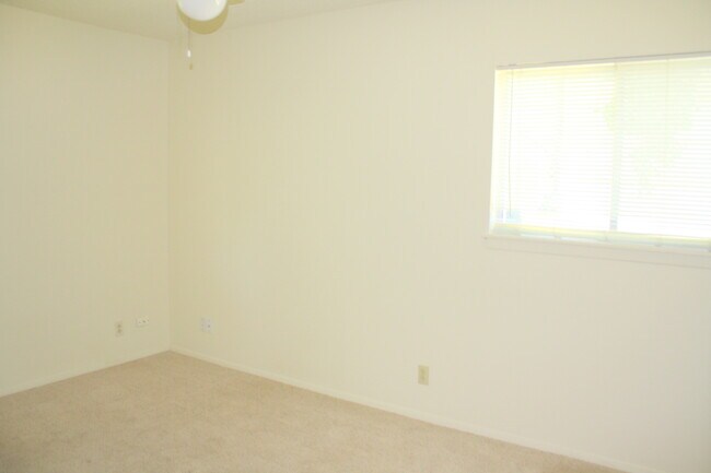 Foto del edificio - 3 BR / 1 BA House off Shoal Creek/Steck!