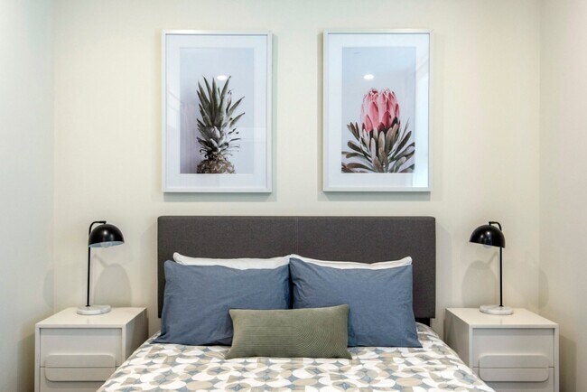 Interior Photo - Luna on Pine
