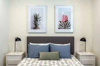 Interior Photo - Luna on Pine