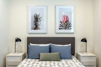 Interior Photo - Luna on Pine