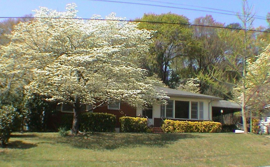 Primary Photo - 2303 7th Ave