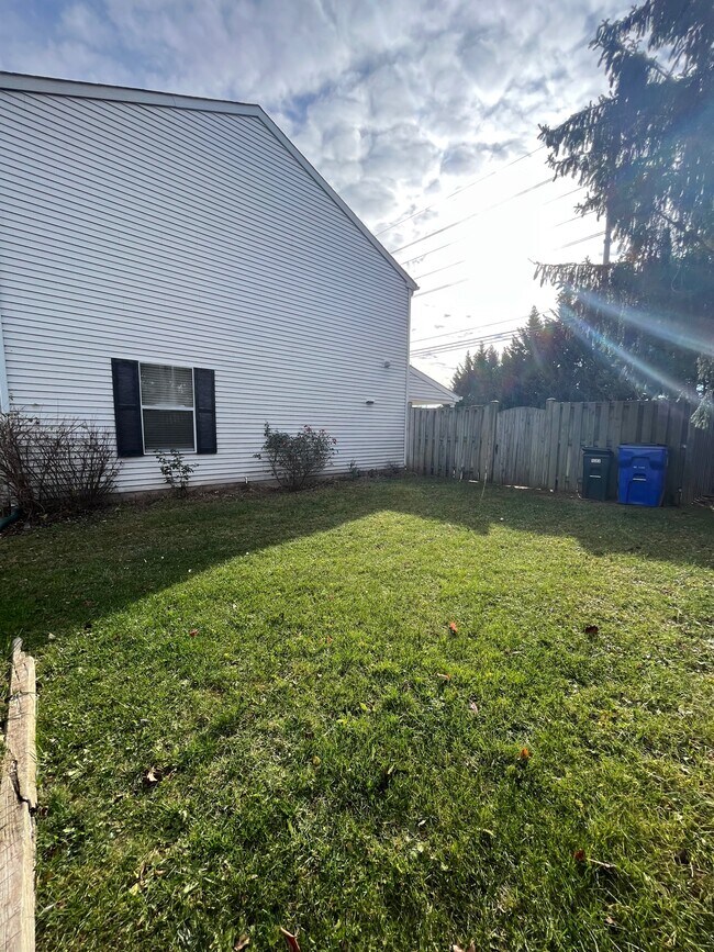 Side Yard - 533 Beebe Ct