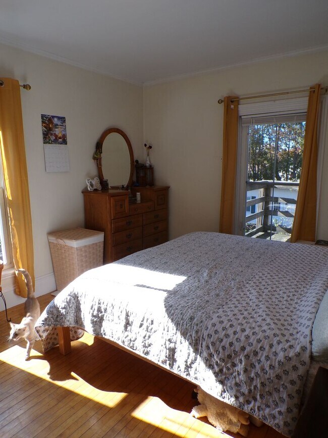 Foto del edificio - 205 Main St