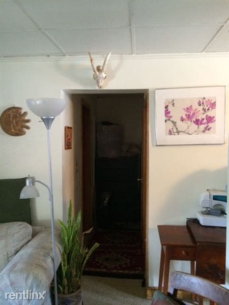 Primary Photo - 3 Holland St