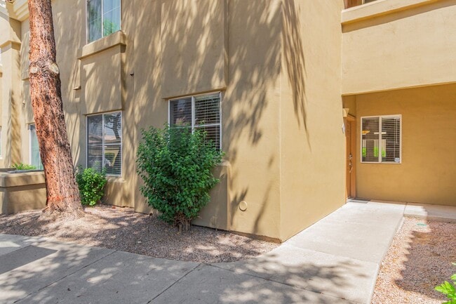 Photo - Beautiful 2 bedroom 2 bathroom first floor... Apartment