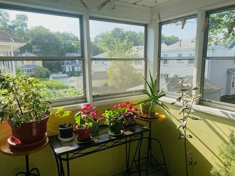 Photo - 11 Kenmore Rd Apartment