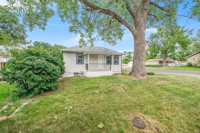 Front tree keeps house very cool in summer. - 74 S Julian St